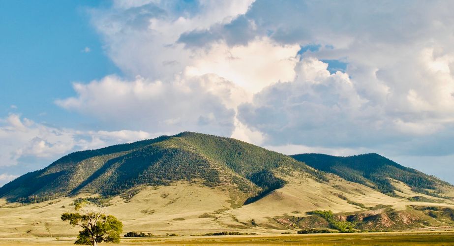 Wild USA Nieuw 4 Wild USA Nieuw 4